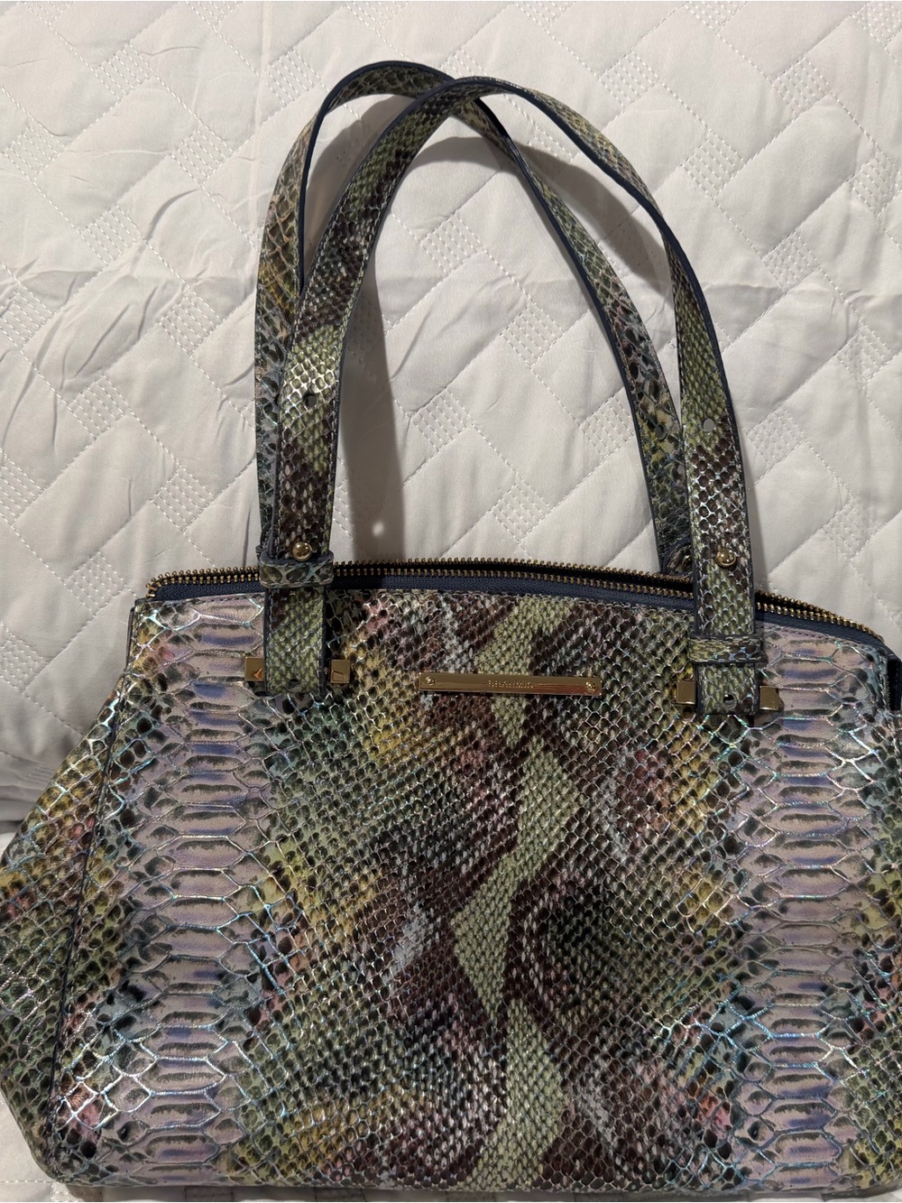 Brahmin Multicolor Snake-Embossed Leather Tote
